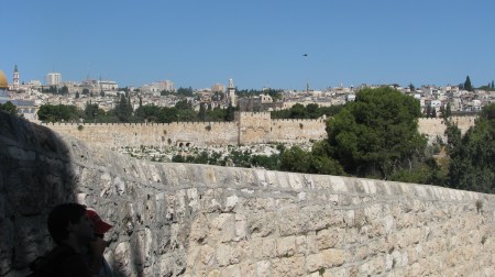 The Earthly Jerusalem, seen from the Mount of Olives. Redeemer's Gate, on the city wall that overlooks the Kidron Valley and Gethsemane, which is at the foot of the Mount of Olives, will remain sealed shut until Judgment Day.