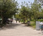 Avenue of the Righteous in Yad Vashem, Jerusalem